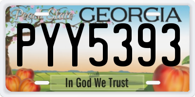 GA license plate PYY5393