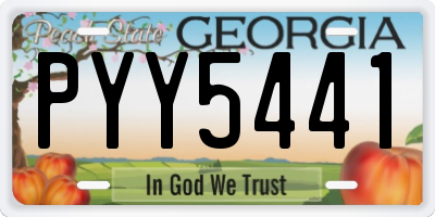 GA license plate PYY5441