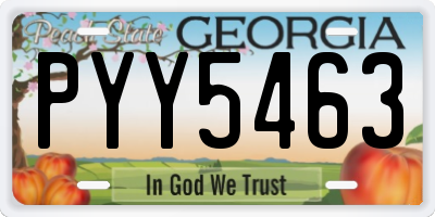 GA license plate PYY5463
