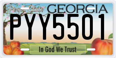 GA license plate PYY5501