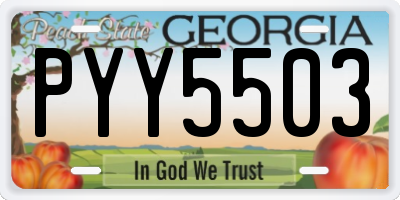 GA license plate PYY5503