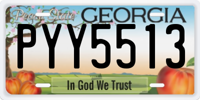 GA license plate PYY5513