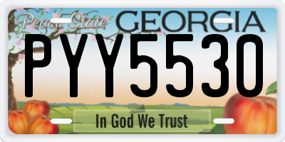 GA license plate PYY5530