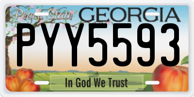 GA license plate PYY5593