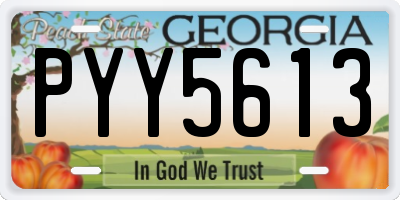 GA license plate PYY5613