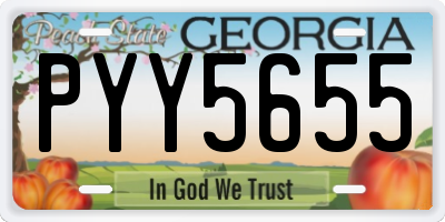 GA license plate PYY5655