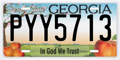 GA license plate PYY5713