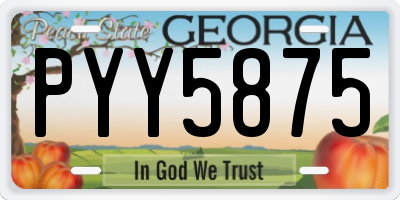 GA license plate PYY5875