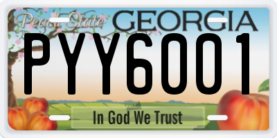 GA license plate PYY6001