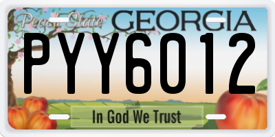 GA license plate PYY6012