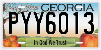 GA license plate PYY6013