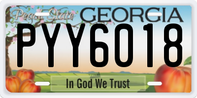 GA license plate PYY6018