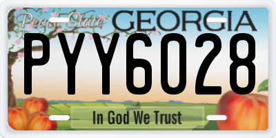 GA license plate PYY6028