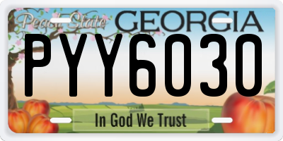 GA license plate PYY6030
