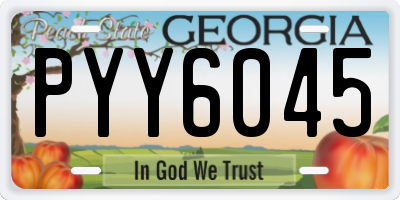 GA license plate PYY6045