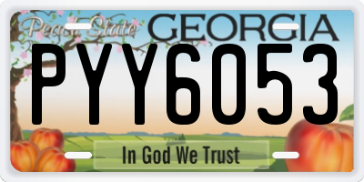 GA license plate PYY6053