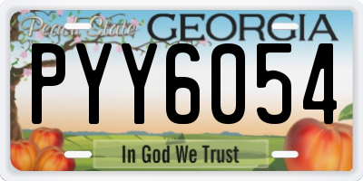GA license plate PYY6054