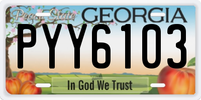 GA license plate PYY6103