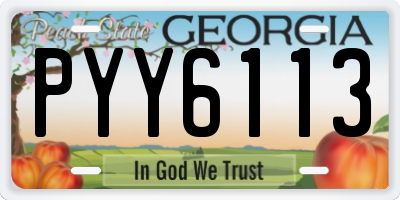 GA license plate PYY6113