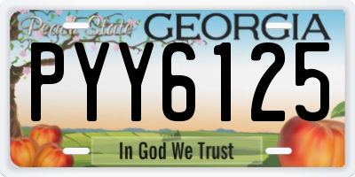 GA license plate PYY6125