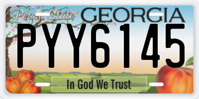 GA license plate PYY6145