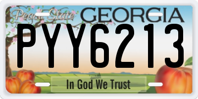 GA license plate PYY6213