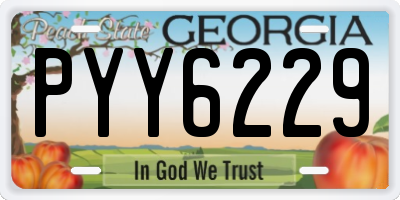 GA license plate PYY6229