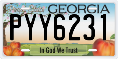 GA license plate PYY6231