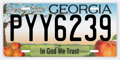 GA license plate PYY6239