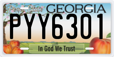 GA license plate PYY6301