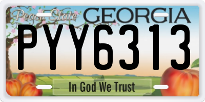 GA license plate PYY6313
