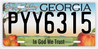 GA license plate PYY6315