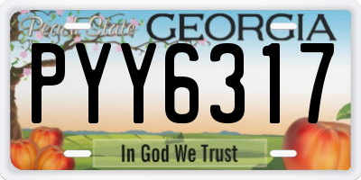 GA license plate PYY6317