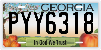 GA license plate PYY6318
