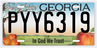 GA license plate PYY6319