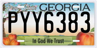 GA license plate PYY6383