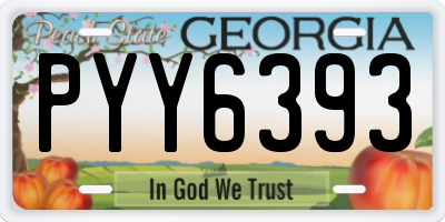 GA license plate PYY6393