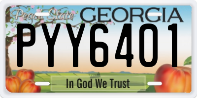 GA license plate PYY6401