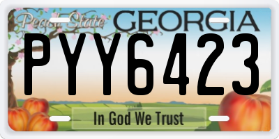 GA license plate PYY6423