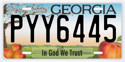 GA license plate PYY6445