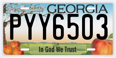 GA license plate PYY6503