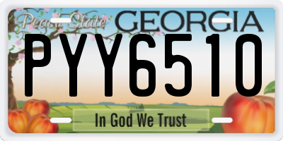 GA license plate PYY6510