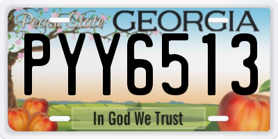 GA license plate PYY6513