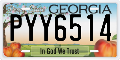 GA license plate PYY6514