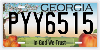 GA license plate PYY6515