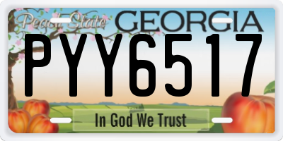 GA license plate PYY6517