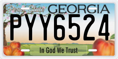 GA license plate PYY6524