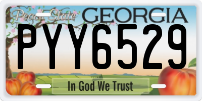 GA license plate PYY6529