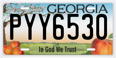 GA license plate PYY6530