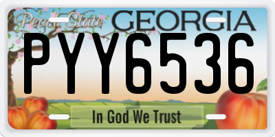 GA license plate PYY6536